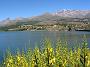0066 Col de Vergio - rit